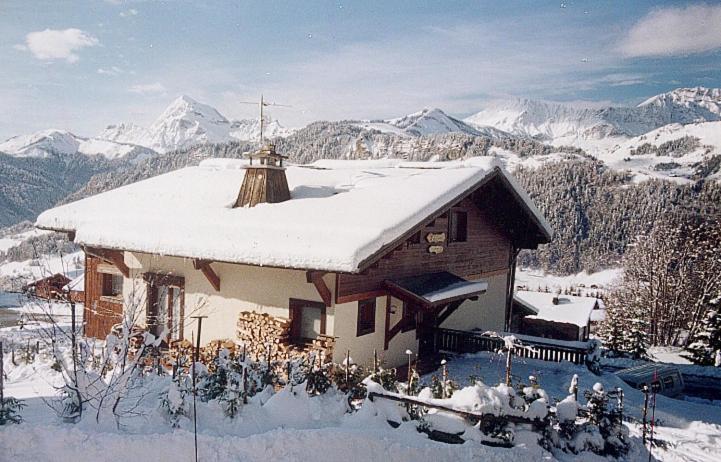 Chalet La Licorne 1 - Pied Des Pistes Notre-Dame-de-Bellecombe Bagian luar foto